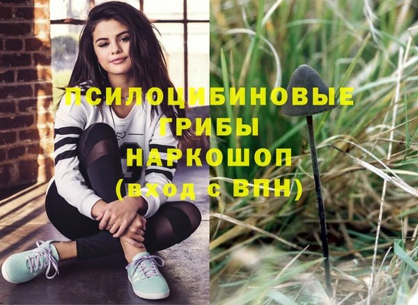 прущие крисы Алзамай