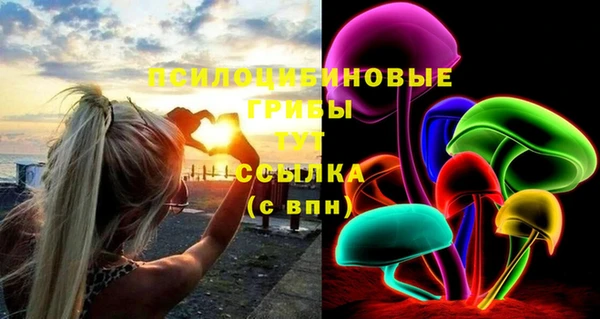 прущие крисы Алзамай