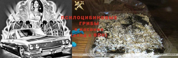 каннабис Алексин